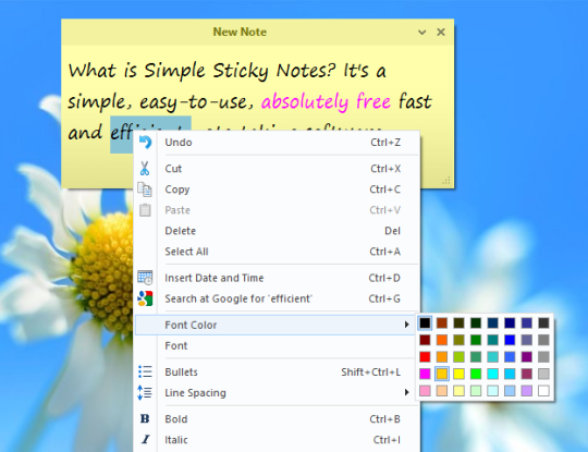 Simple Sticky Notes 6.1 free