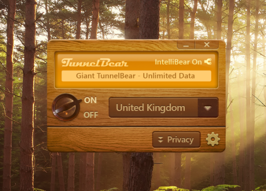 tunnelbear installer